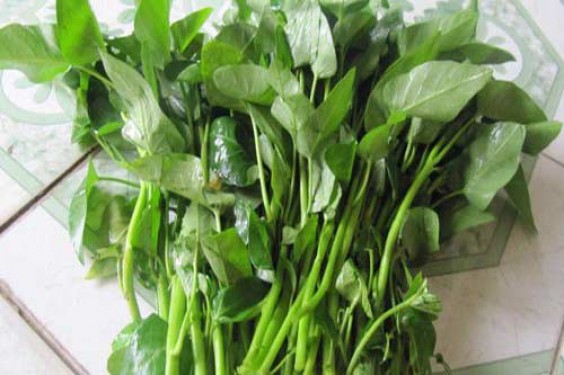 Bệnh trĩ có ăn được rau muống, rau ngót không?