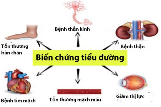 3 thảo dược giúp phòng ngừa biến chứng tiểu đường