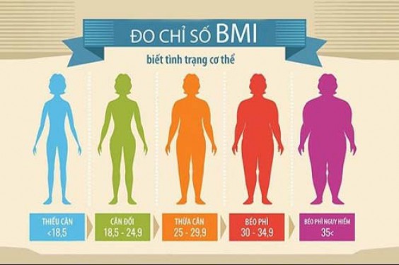 Chỉ số BMR là gì? Cách tính BMR để giảm cân và tăng cân chính xác